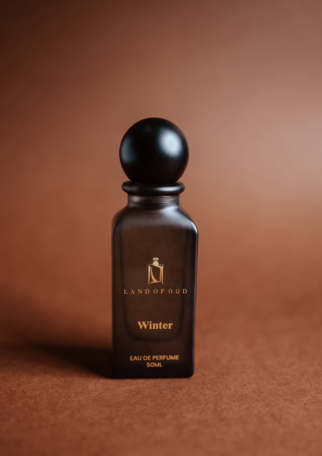 Winter - الصورة 2
